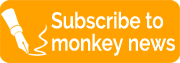Subscribe to Monkey News